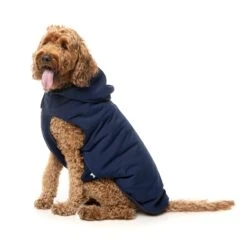Fuzzyard Shop -Fuzzyard Shop FuzzYard Dog Apparel Essential Padded Hooded Jacket Navy Size 4 2