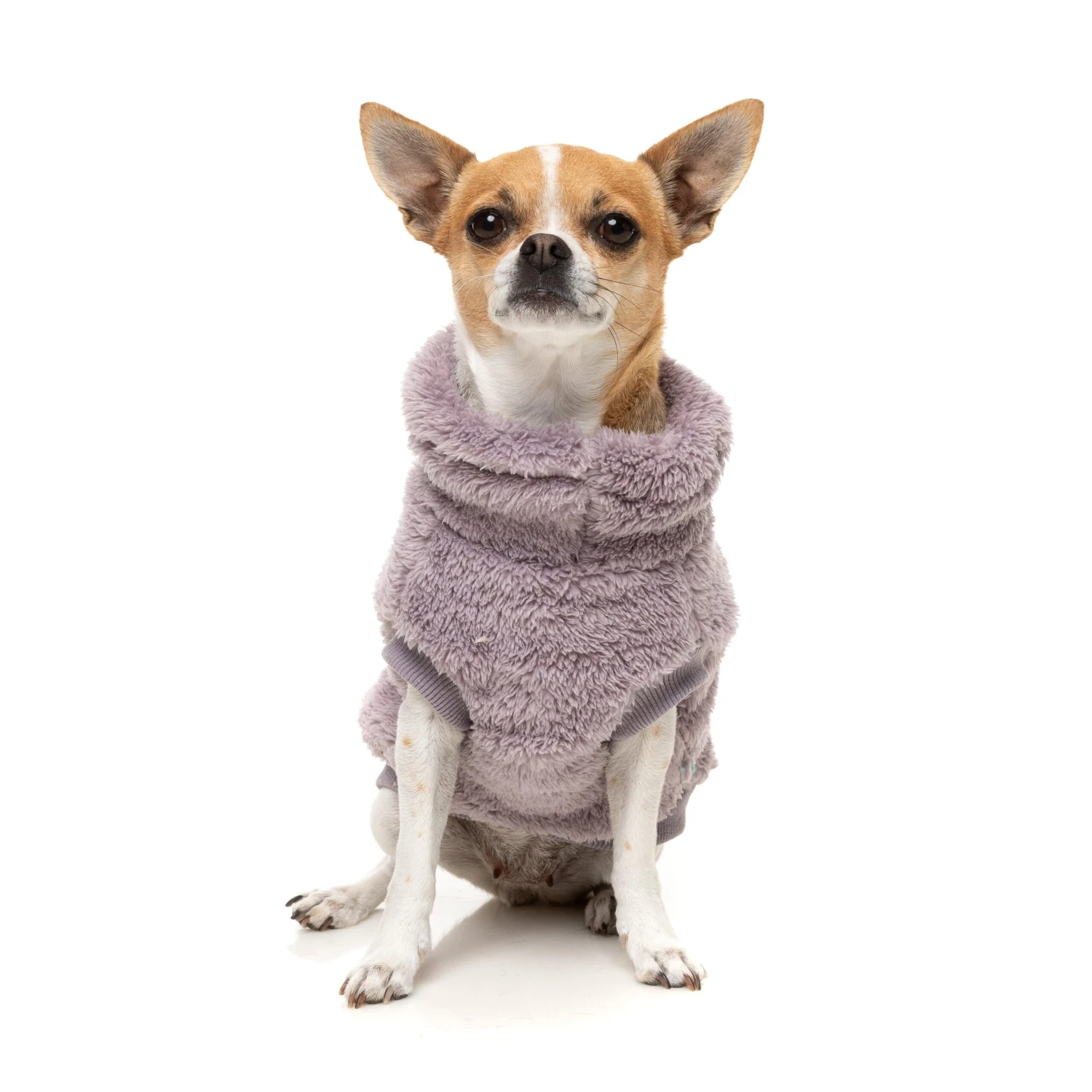 FuzzYard Dog Apparel Turtle Teddy 25 Sweater Lavender Size 4 ^+^