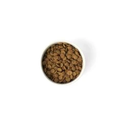 Fuzzyard Shop -Fuzzyard Shop SavourLife Grain Free Dry Dog Food Lean Turkey 10kg 2